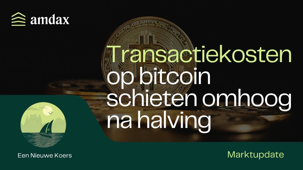 Succesvolle halving marktupdate